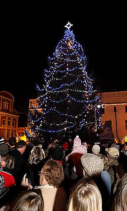 Vánoční strom na náměstí Svornosti - Advent 2008